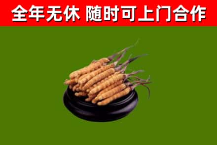 孝南区烟酒回收冬虫夏草.jpg